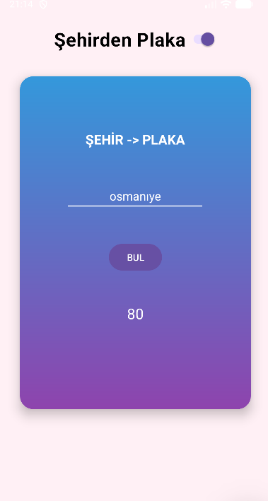Şehirden Plaka Sorgulama